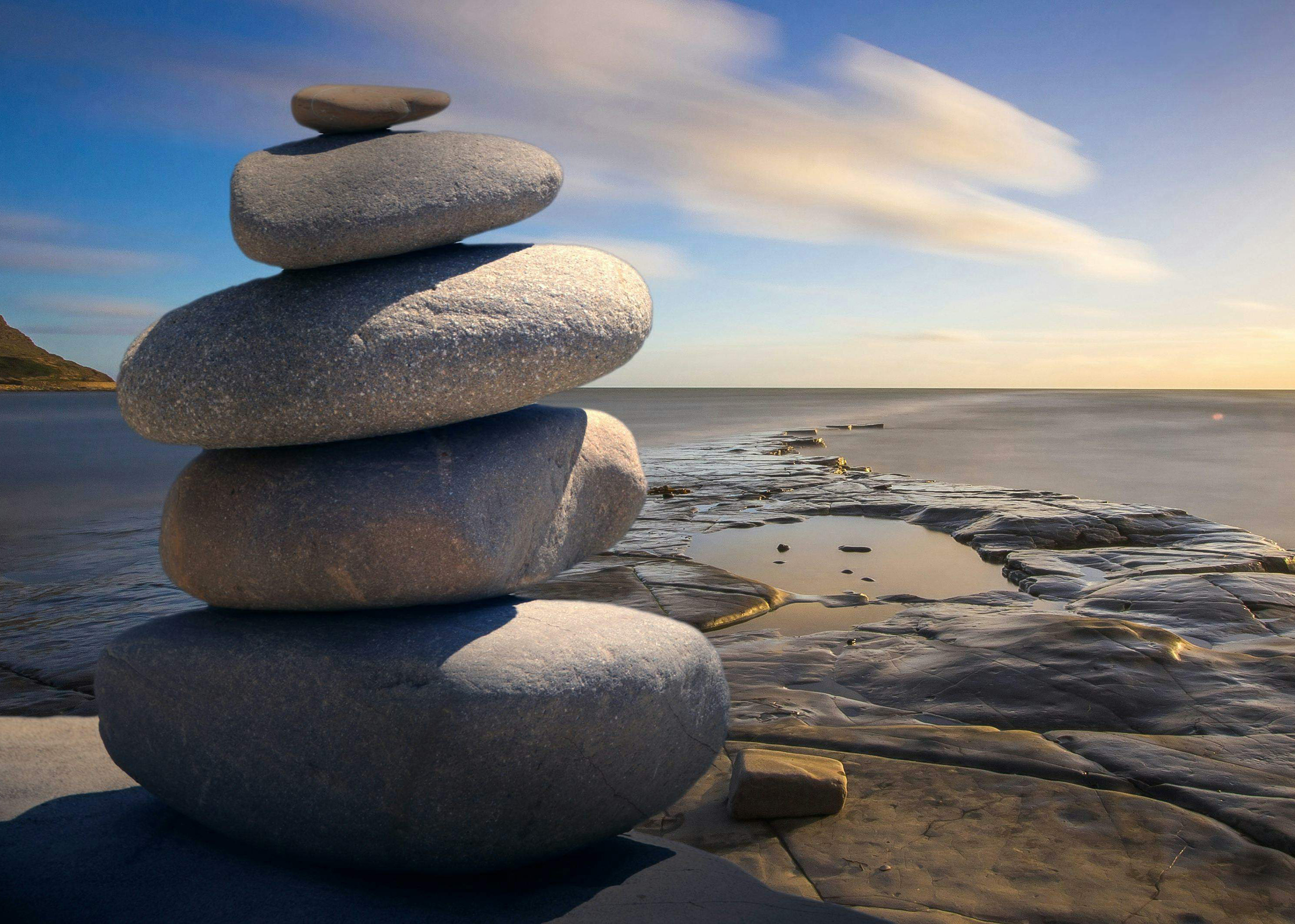 Wellness Programs